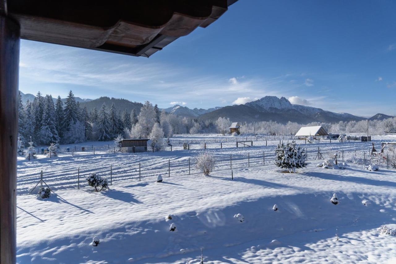 Maciejowy Dwor Apartment Zakopane Exterior photo